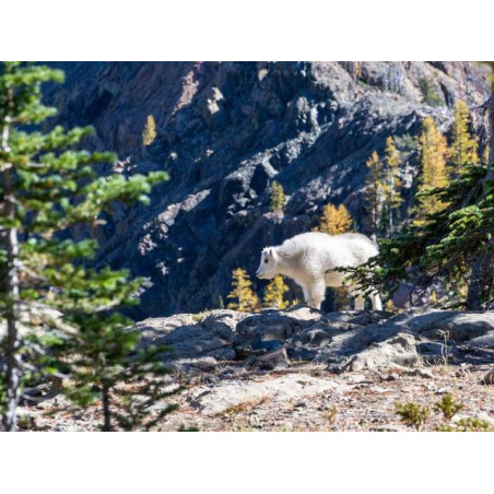 Sleek Aluminum Computer fr-FR